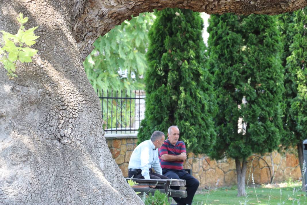 Üsküp’ü fetheden komutanın torunu dikti... Kuzey Makedonya’daki cami avlusunda 550 yıldır ayakta 6