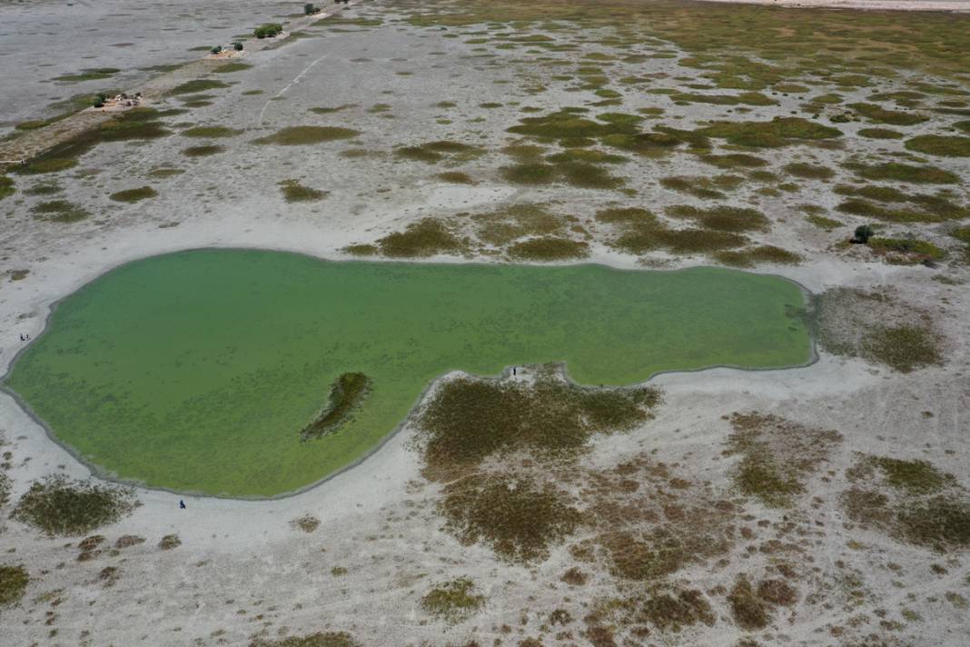 Bir göl daha yok oldu: Artık sürüler otlanıyor 13