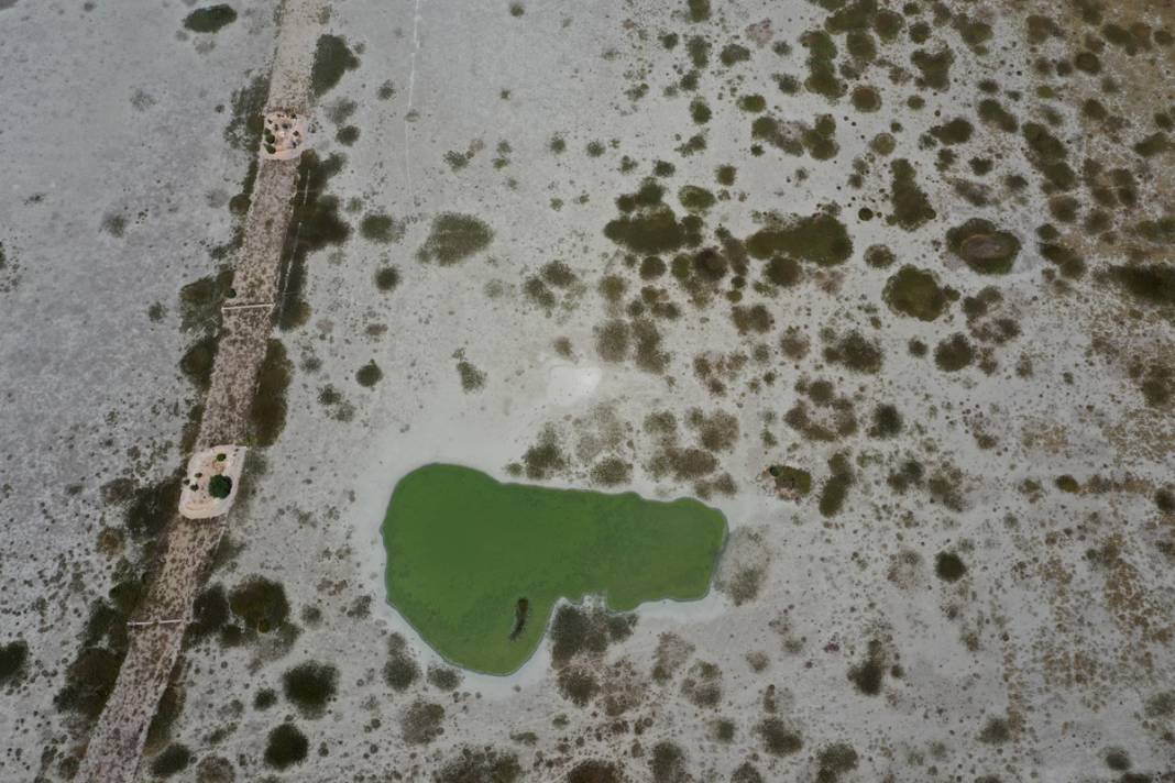 Bir göl daha yok oldu: Artık sürüler otlanıyor 12