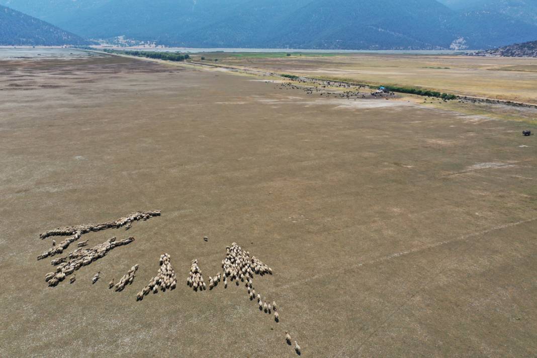 Bir göl daha yok oldu: Artık sürüler otlanıyor 10