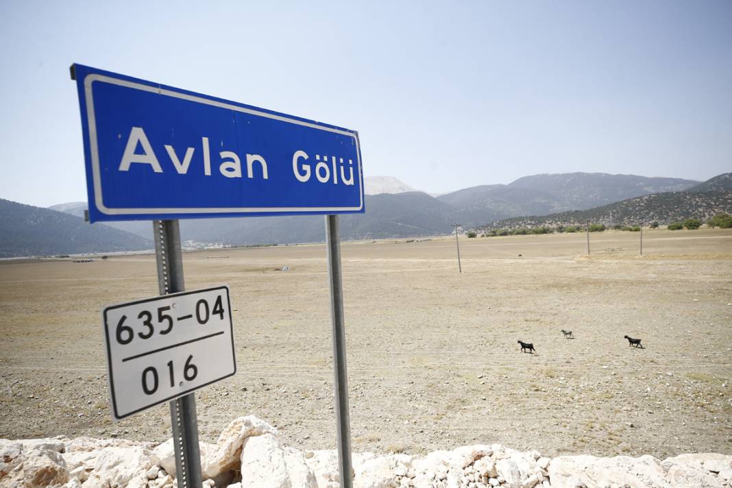 Bir göl daha yok oldu: Artık sürüler otlanıyor 14