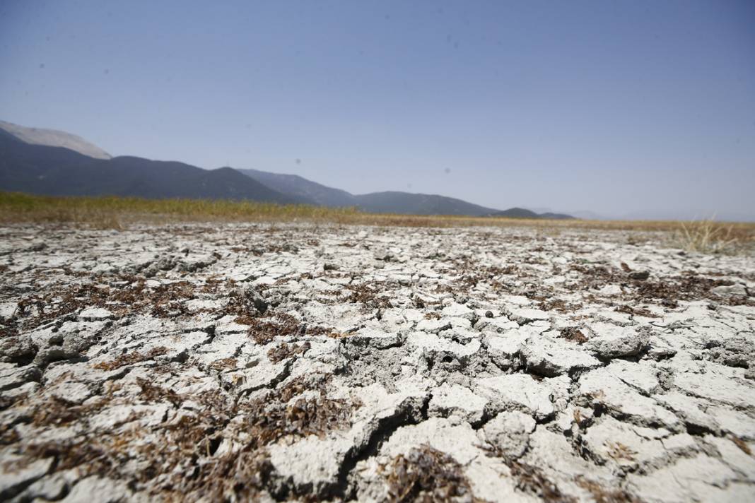 Bir göl daha yok oldu: Artık sürüler otlanıyor 9
