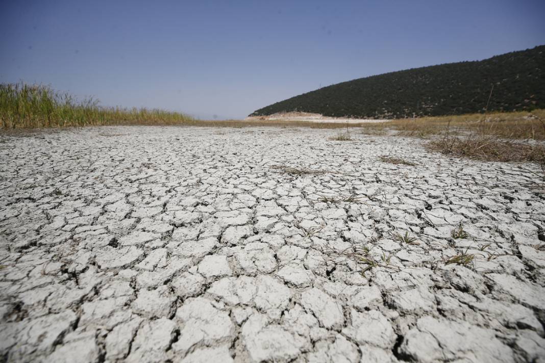 Bir göl daha yok oldu: Artık sürüler otlanıyor 8