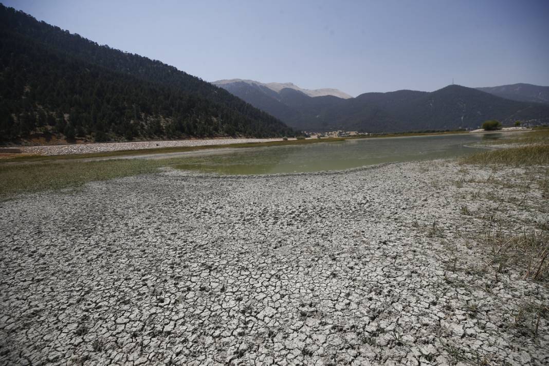 Bir göl daha yok oldu: Artık sürüler otlanıyor 7