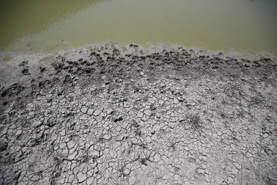 Bir göl daha yok oldu: Artık sürüler otlanıyor 6