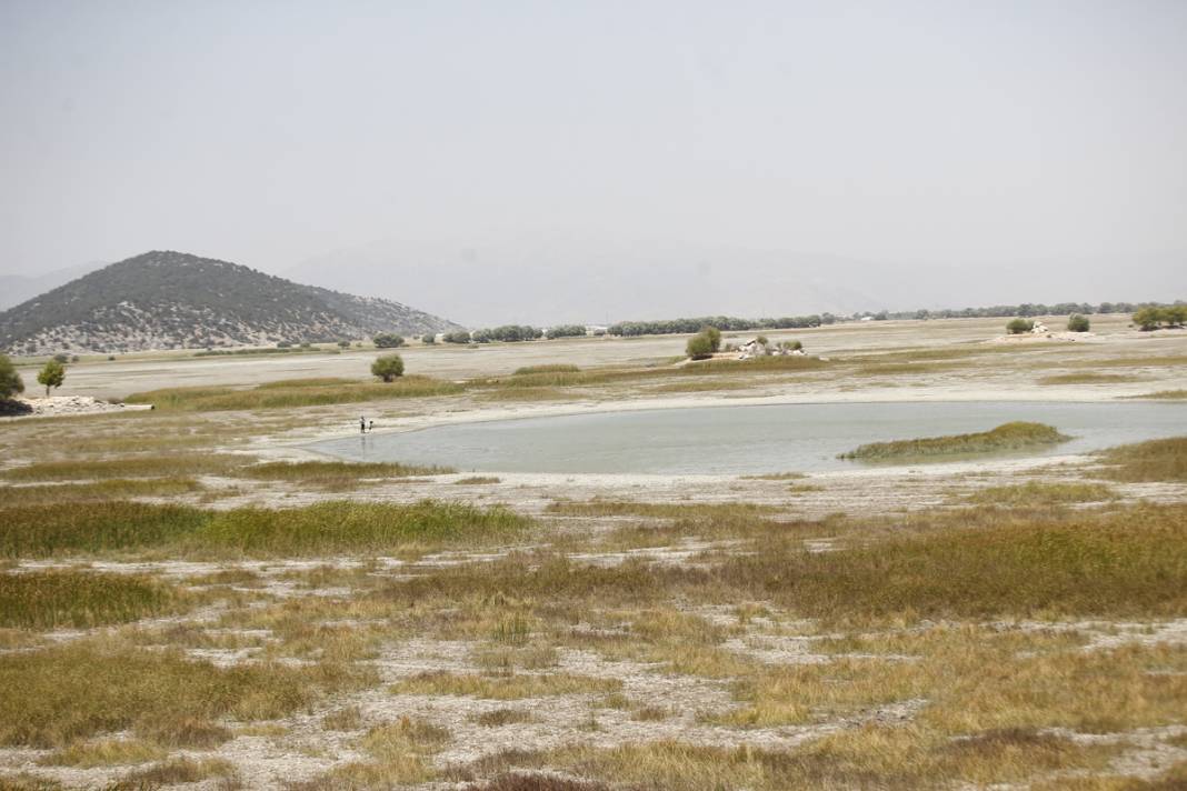 Bir göl daha yok oldu: Artık sürüler otlanıyor 2