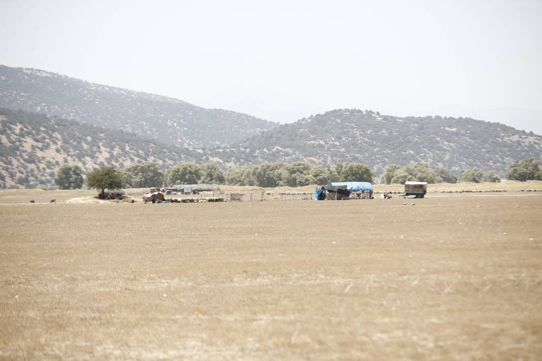 Bir göl daha yok oldu: Artık sürüler otlanıyor 3