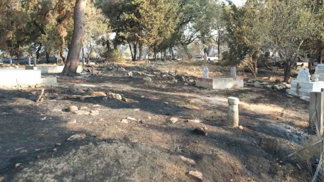 Çanakkale'de alevlerle mücadele sürüyor: Çanakkale'deki felaketin boyutunu ortaya koyan fotoğraflar 37
