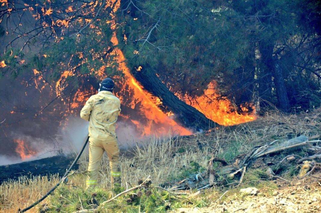 Çanakkale'de alevlerle mücadele sürüyor: Çanakkale'deki felaketin boyutunu ortaya koyan fotoğraflar 30