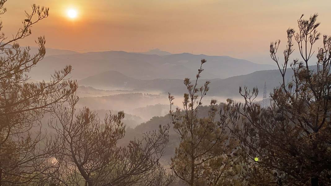Çanakkale'de alevlerle mücadele sürüyor: Çanakkale'deki felaketin boyutunu ortaya koyan fotoğraflar 22