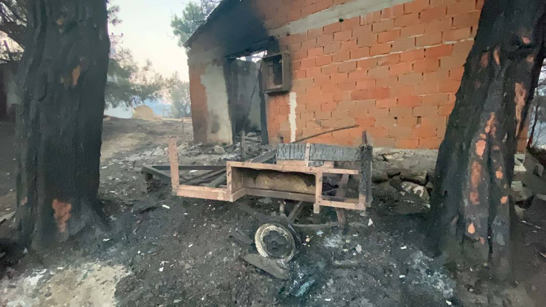 Çanakkale'de alevlerle mücadele sürüyor: Çanakkale'deki felaketin boyutunu ortaya koyan fotoğraflar 19