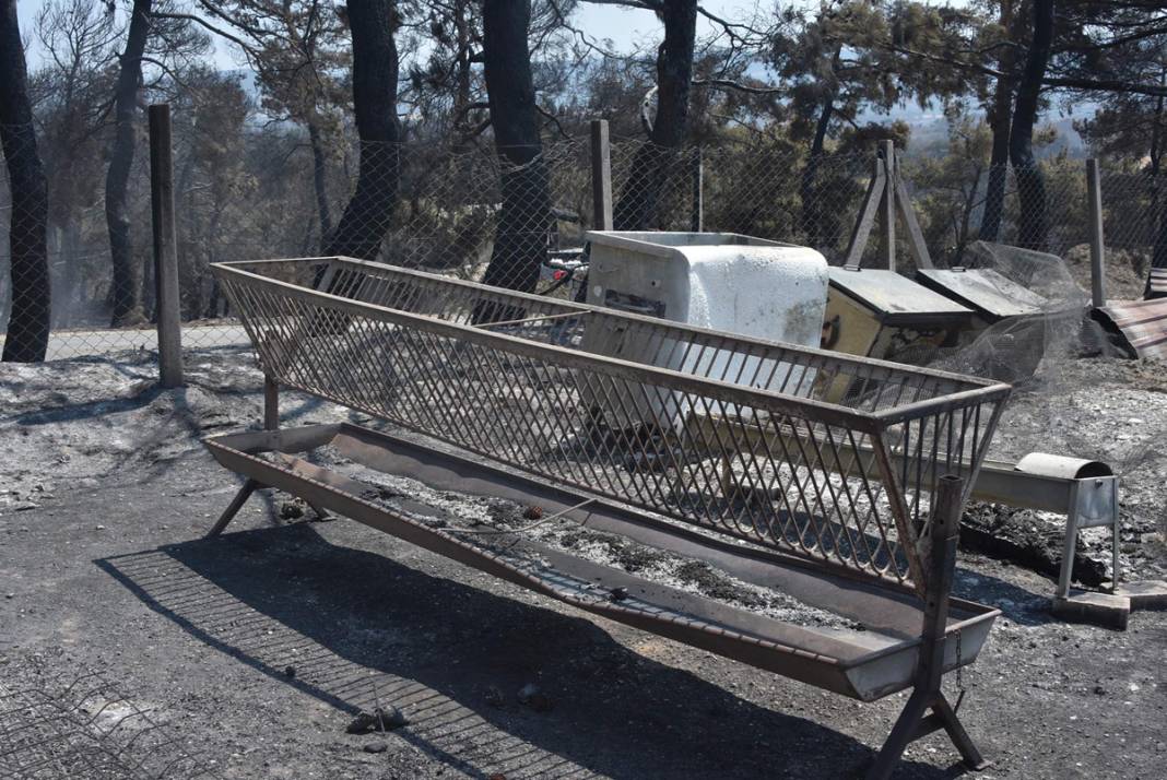 Çanakkale'deki felaketi köylüler anlattı 11