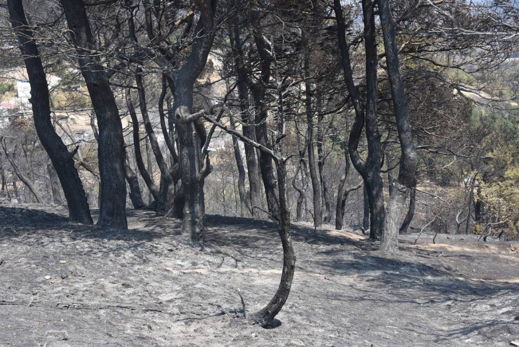 Çanakkale'deki felaketi köylüler anlattı 7