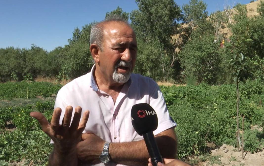 Tarlasını sürerken pulluğa takıldı, kazı çalışmaları başladı! Roma dönemine ait olabilir... 2