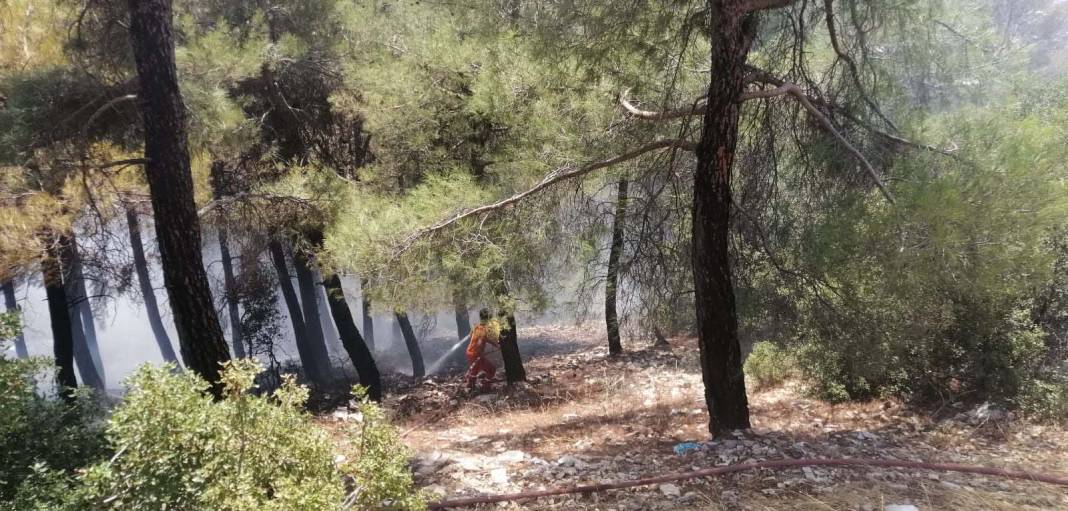 Türkiye Çanakkale'ye ağlarken 5 şehir daha alevlere teslim oldu! 14