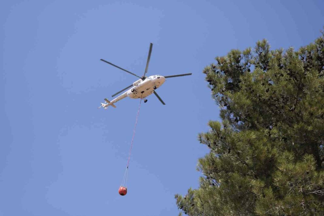 Türkiye Çanakkale'ye ağlarken 5 şehir daha alevlere teslim oldu! 17