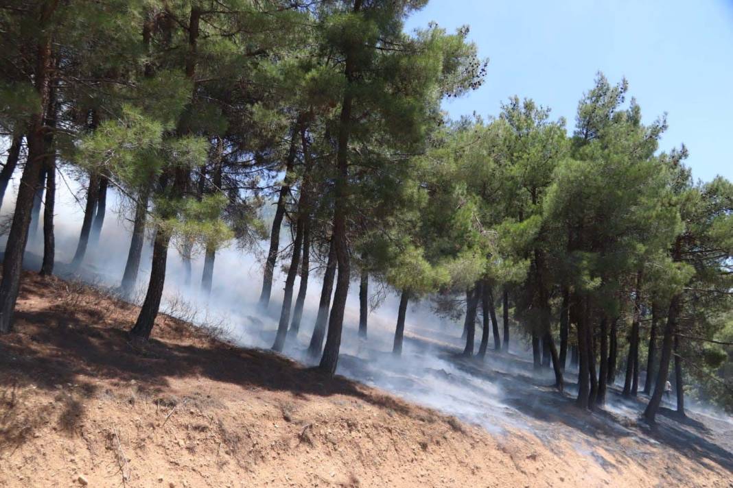 Türkiye Çanakkale'ye ağlarken 5 şehir daha alevlere teslim oldu! 12