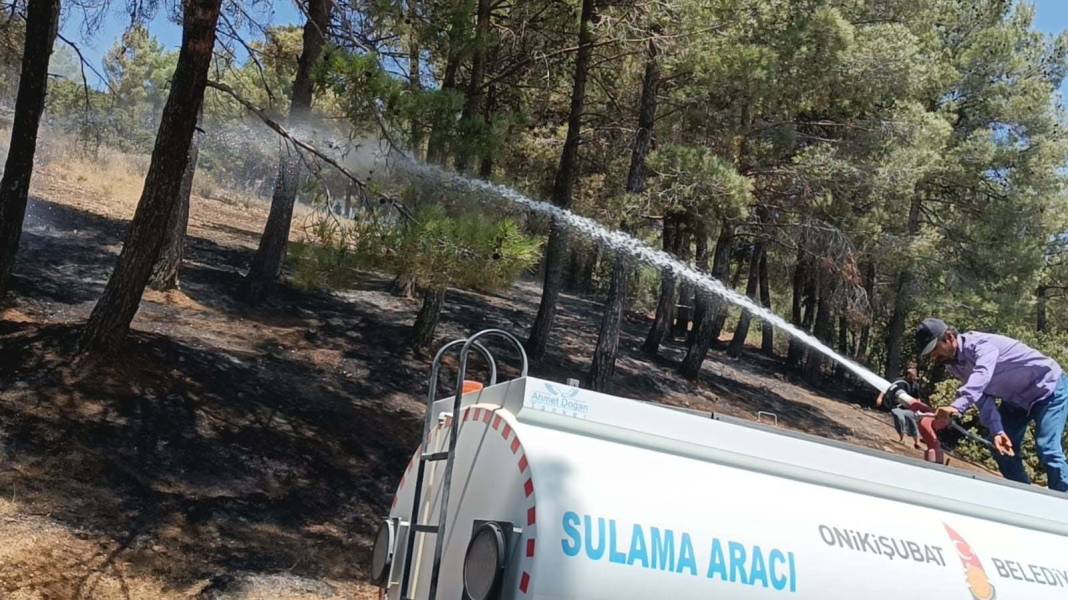 Türkiye Çanakkale'ye ağlarken 5 şehir daha alevlere teslim oldu! 15