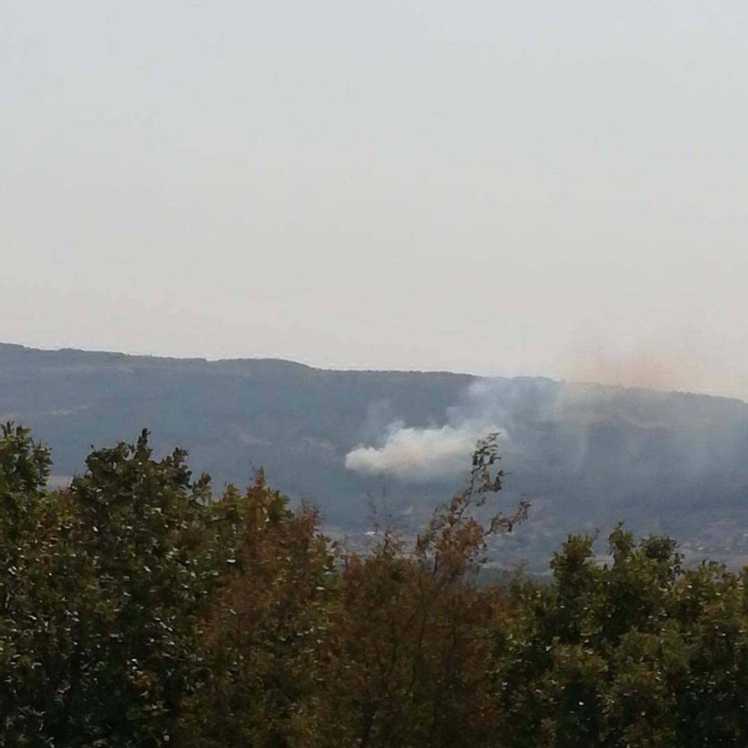 Türkiye Çanakkale'ye ağlarken 5 şehir daha alevlere teslim oldu! 8