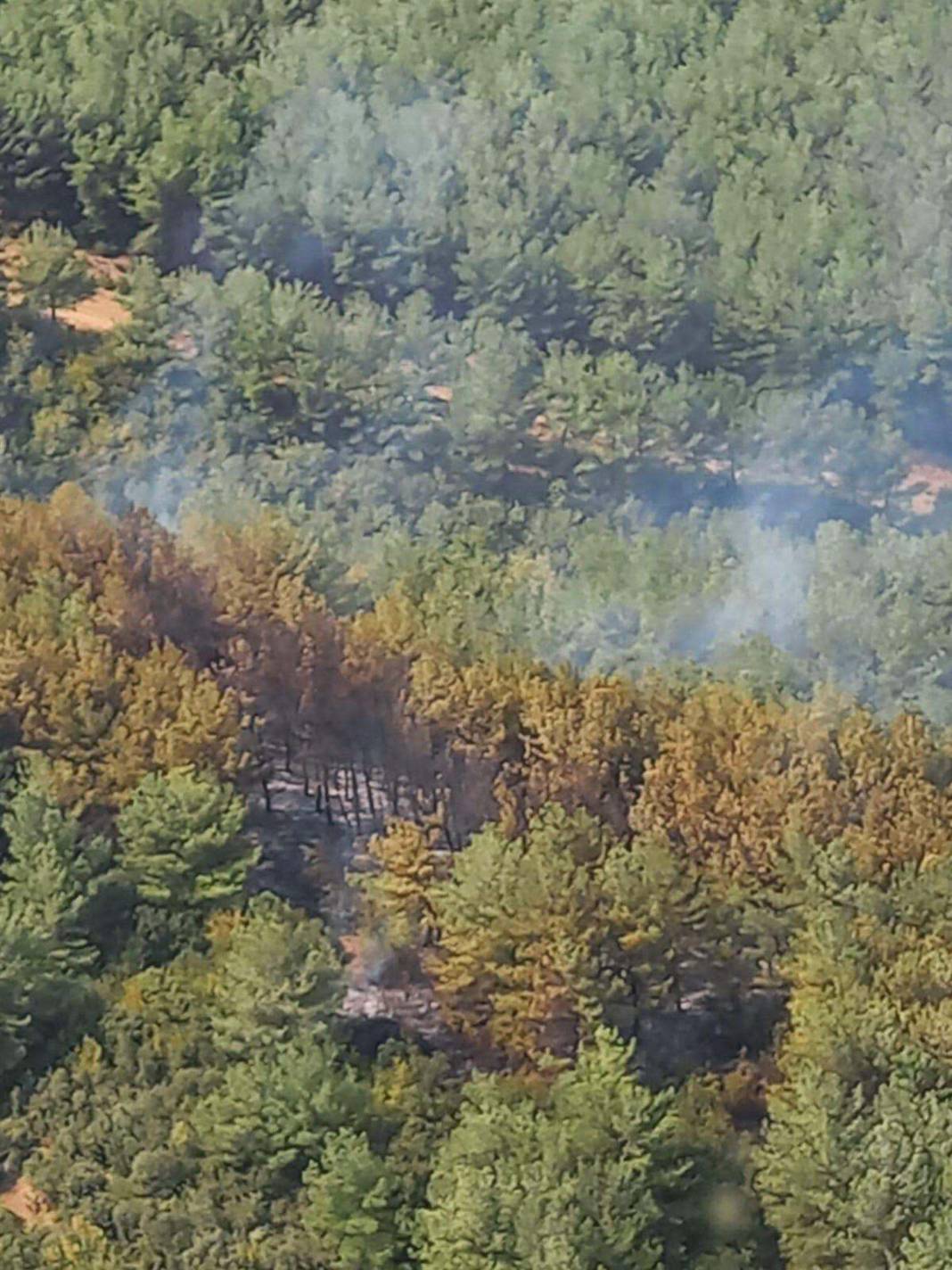 Türkiye Çanakkale'ye ağlarken 5 şehir daha alevlere teslim oldu! 6