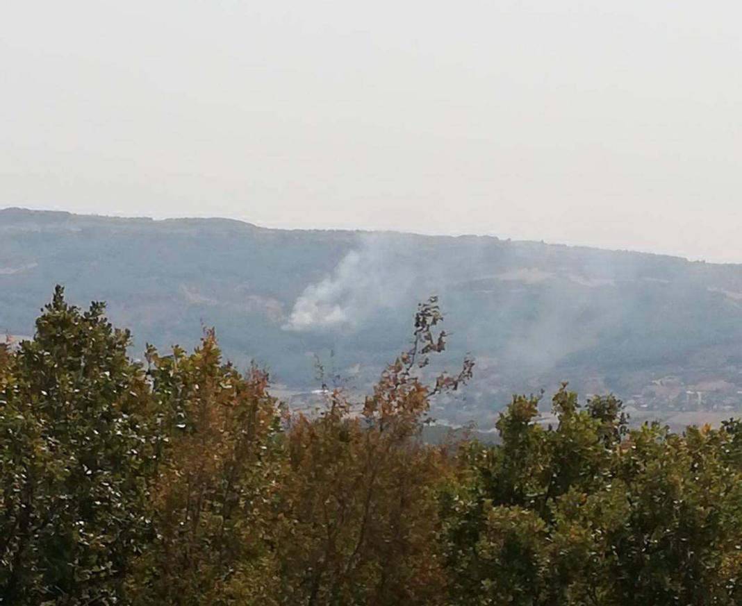 Türkiye Çanakkale'ye ağlarken 5 şehir daha alevlere teslim oldu! 5