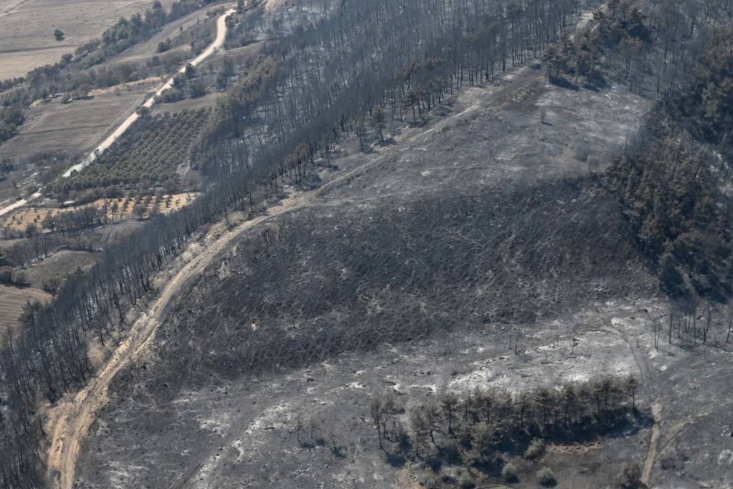 Türkiye Çanakkale'ye ağlarken 5 şehir daha alevlere teslim oldu! 31