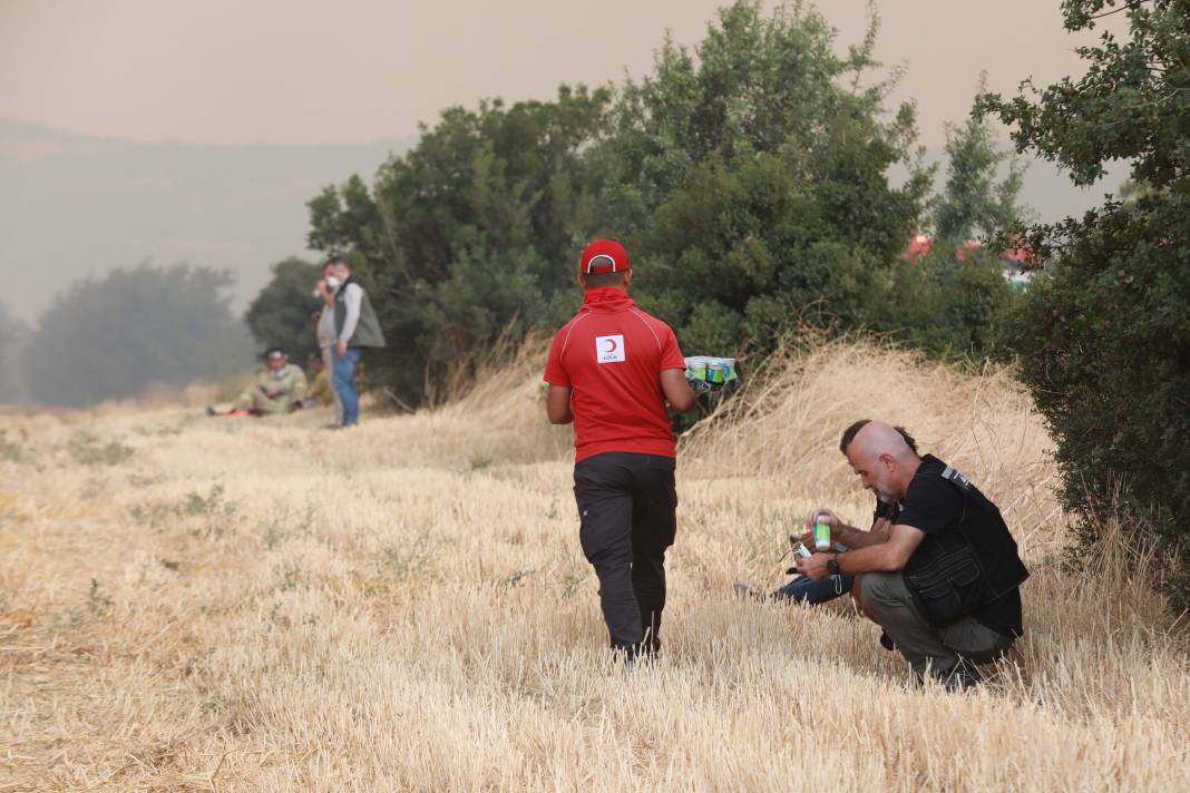 Türkiye Çanakkale'ye ağlarken 5 şehir daha alevlere teslim oldu! 28