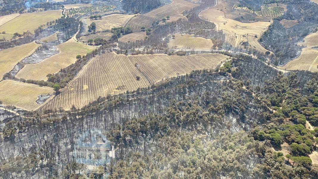 Türkiye Çanakkale'ye ağlarken 5 şehir daha alevlere teslim oldu! 29