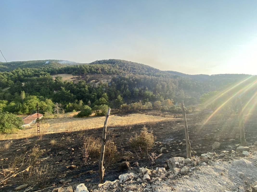 Türkiye Çanakkale'ye ağlarken 5 şehir daha alevlere teslim oldu! 30