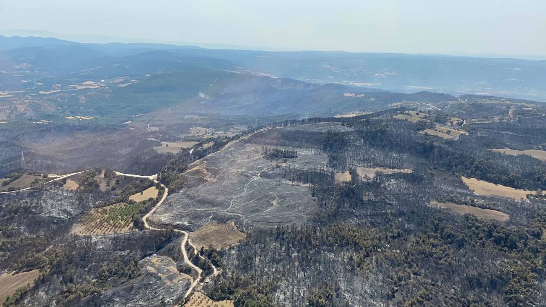 Türkiye Çanakkale'ye ağlarken 5 şehir daha alevlere teslim oldu! 27