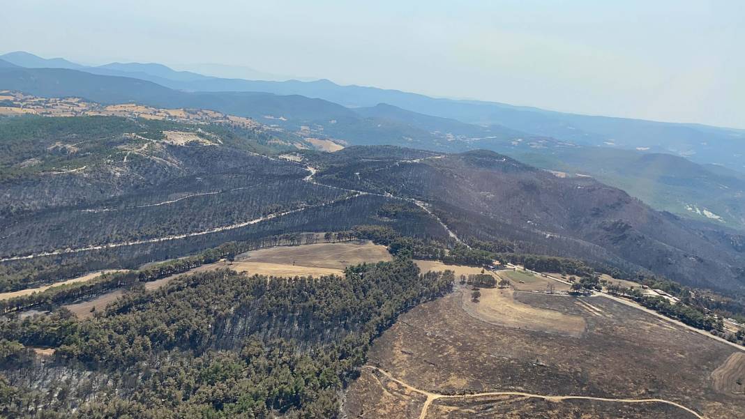 Türkiye Çanakkale'ye ağlarken 5 şehir daha alevlere teslim oldu! 26