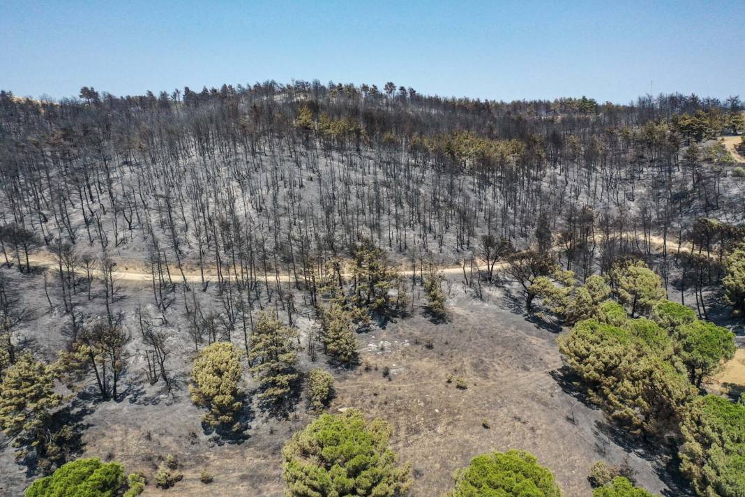 Türkiye Çanakkale'ye ağlarken 5 şehir daha alevlere teslim oldu! 25