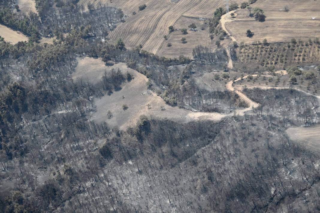 Türkiye Çanakkale'ye ağlarken 5 şehir daha alevlere teslim oldu! 23