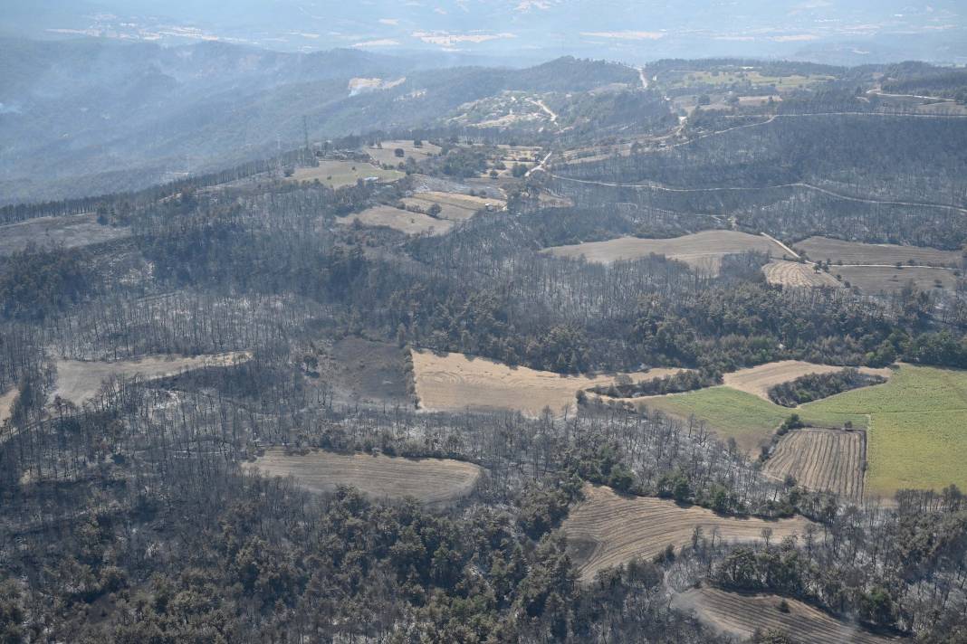 Türkiye Çanakkale'ye ağlarken 5 şehir daha alevlere teslim oldu! 24