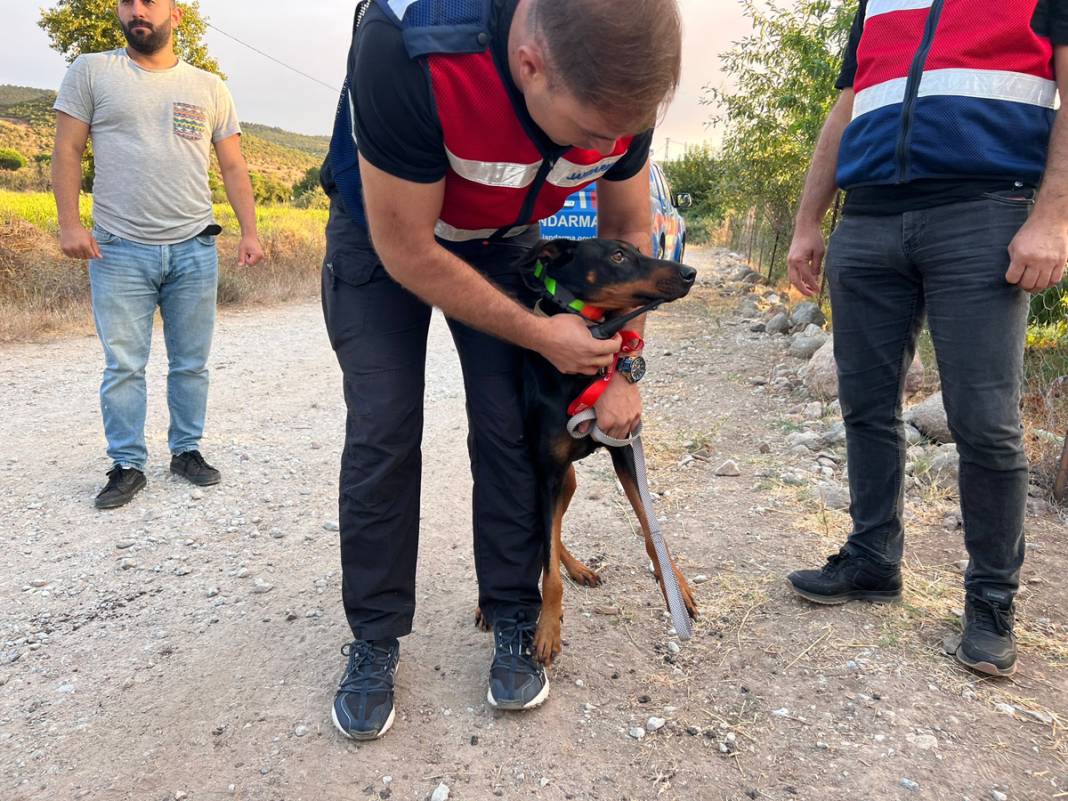 Korhan Berzeg tam 90 gündür aranıyor: 'Metafizikçi'ler yer gösterdi 4