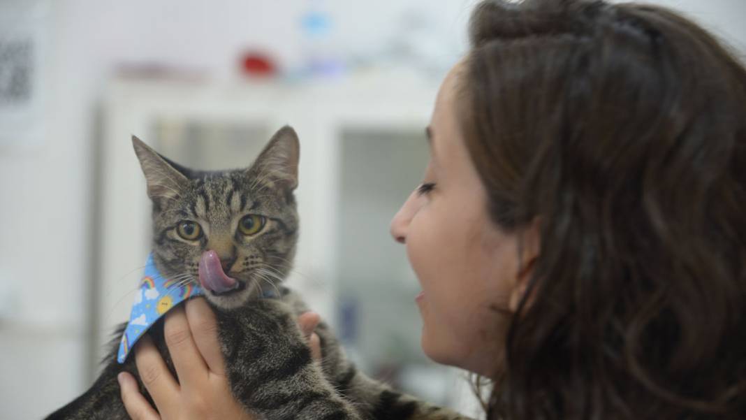 'Ali Cabbar', taburcu edilmek için yuva bekliyor 3
