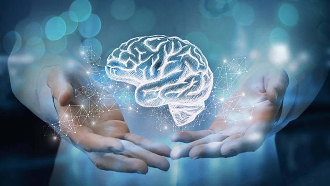 Dünyanın en zeki ülkeleri: Türkiye 48'inci sırada 13