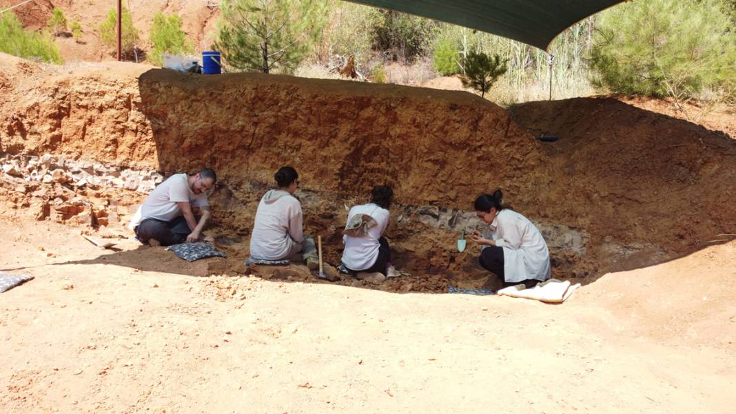 Tarihe ışık tutan keşif! Bu fosiller tam 9 milyon yıllık 1