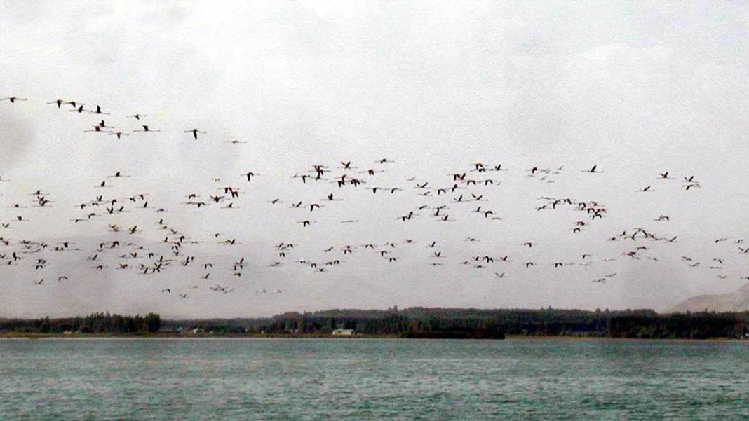Kuraklık 30 yıl sonra günyüzüne çıkardı: Van Gölü'nde tarihi kale 14