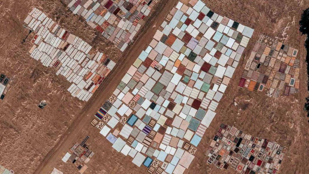 Değerleri milyonlarca lirayı buluyor: Halı tarlasında hasat başladı 2