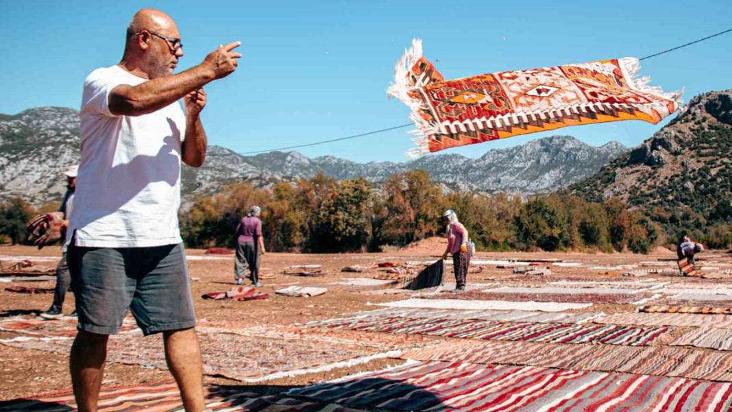 Değerleri milyonlarca lirayı buluyor: Halı tarlasında hasat başladı 3