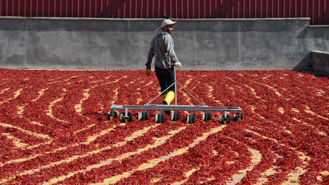 Gaziantep'te işçiler, ekmeğini acıdan kazanıyor 1