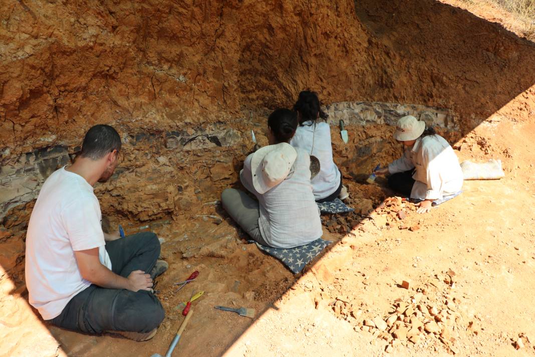 Tarihe ışık tutan keşif! Bu fosiller tam 9 milyon yıllık 9