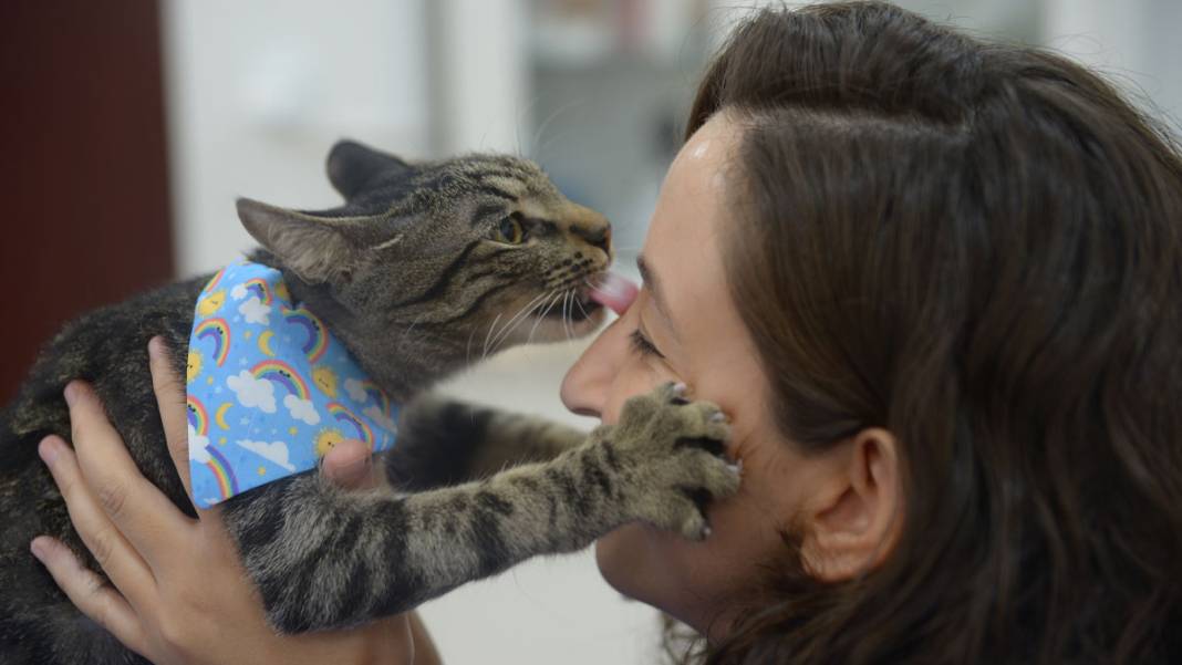 'Ali Cabbar', taburcu edilmek için yuva bekliyor 6