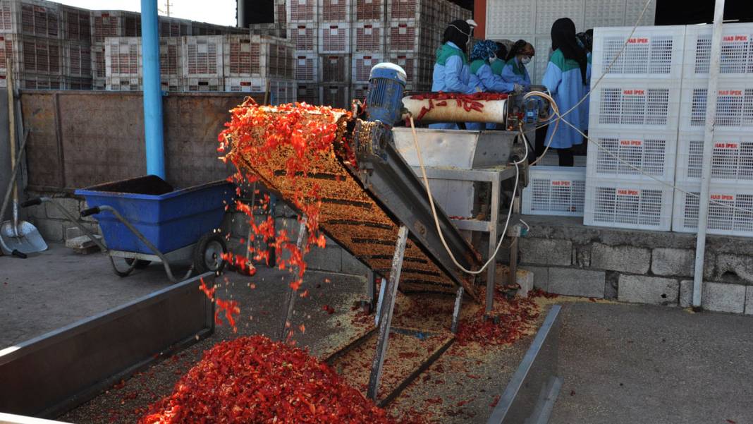 Gaziantep'te işçiler, ekmeğini acıdan kazanıyor 4