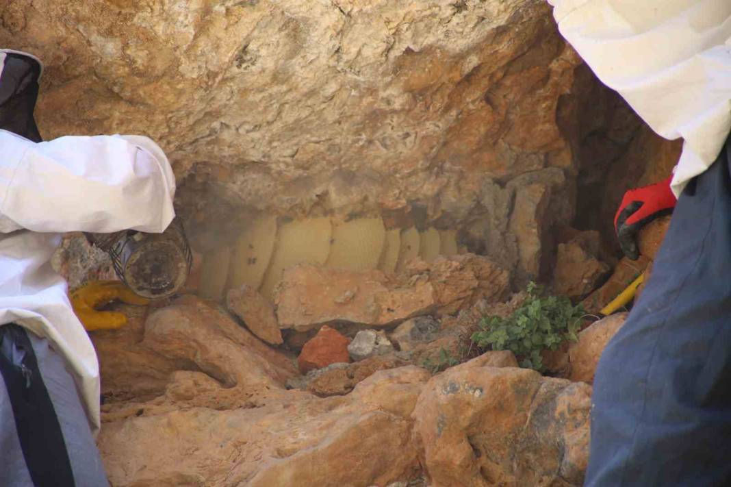 Fiyatı altınla yarışıyor! 11 yıl önce dağda keşfetti 5