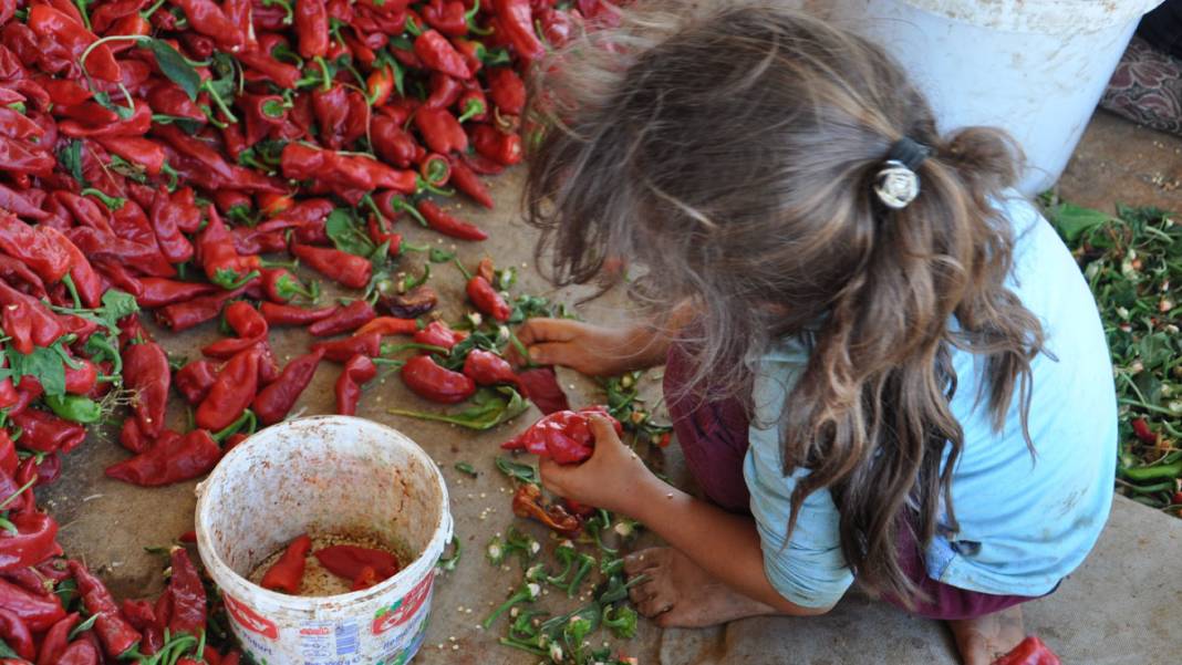 Gaziantep'te işçiler, ekmeğini acıdan kazanıyor 5