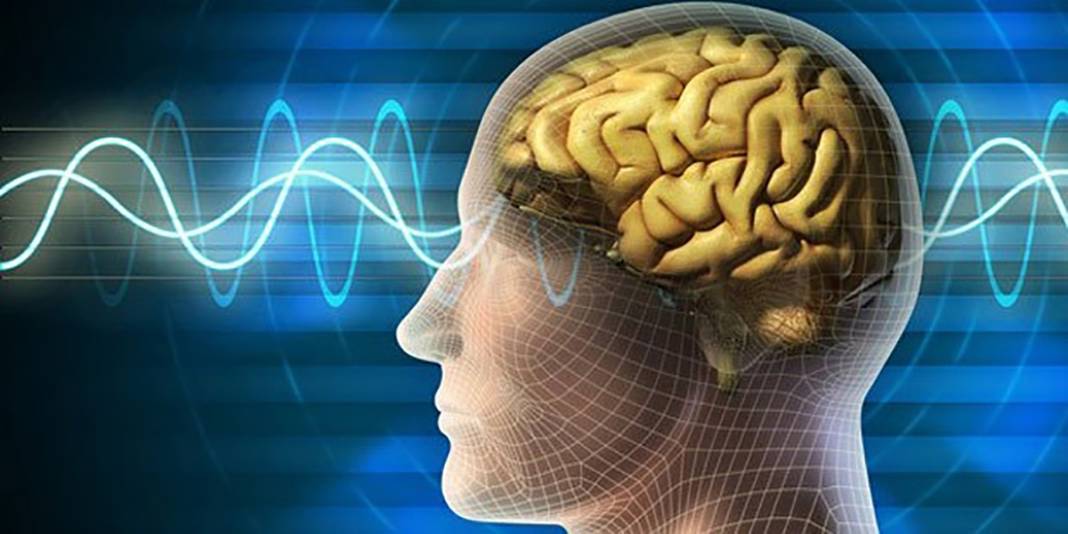 Dünyanın en zeki ülkeleri: Türkiye 48'inci sırada 5