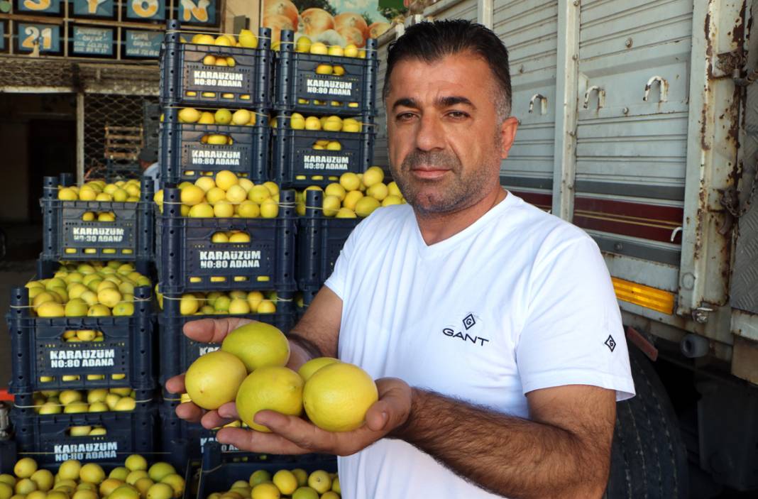 Bahçede 3, halde 4, markette 24 lira: Limonda fahiş fiyat farkı 2