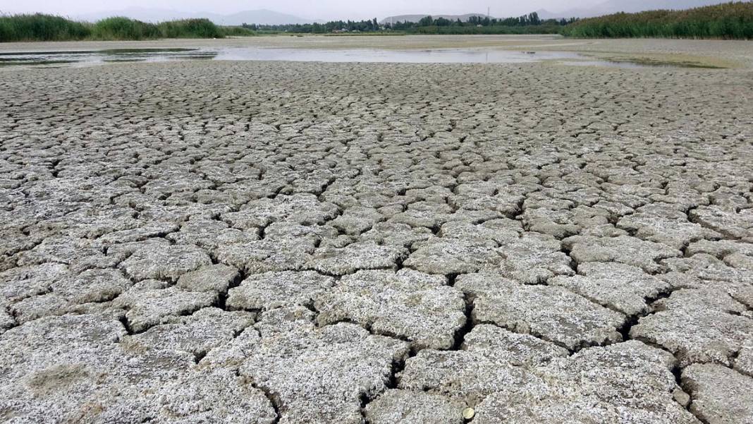 Kuraklık 30 yıl sonra günyüzüne çıkardı: Van Gölü'nde tarihi kale 6